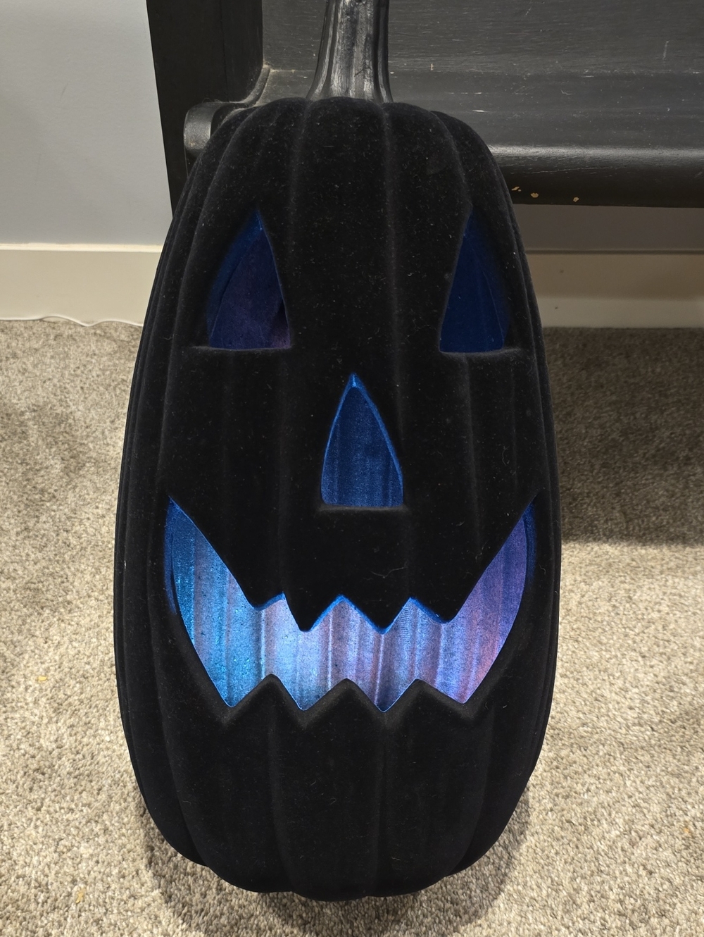 1 Flocked Black Pumpkin